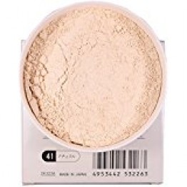 Naturactor Loose Powder 41