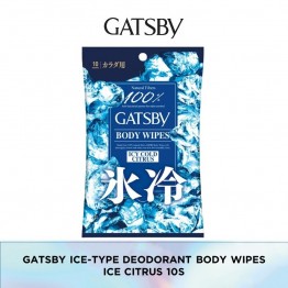 Gatsby Body Wipes Icy Cool 10's